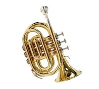 Tromba Principianti Tromba In Si Con Corpo In Ottone Mini Strumento Portatile