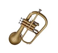 Tromba Principianti Tromba In Sib Accordata Strumento Professionale Placcato In Ottone Con Custodia E Bocchino