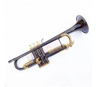 Tromba Principianti Tromba In Sib In Ottone Nichelato Nero Strumento Professionale Con Custodia In Pelle