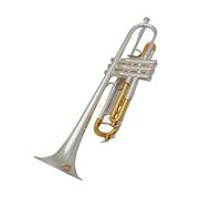 Tromba Principianti Tromba In Sib Per Principianti Con Custodia E Bocchino