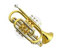 Tromba Principianti Tromba Lacca Musicale Oro Chiave Si Strumento A Fiato Professionale Performance