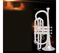 Tromba Principianti Tromba Portatile In Chiave Di Si Professionale Per Bande Principianti In Bronzo Fosforoso Oro E Argento.(Silver Plated)