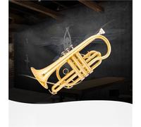 Tromba Principianti Tromba Portatile In Chiave Di Si Professionale Per Bande Principianti In Bronzo Fosforoso Oro E Argento.(Gold)