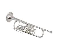 Tromba principianti Tromba Rotaiaria BB Con Cassa Cappotto Brougio B Trombe Piatte Tromba Professionale (Color : Nickel plated)