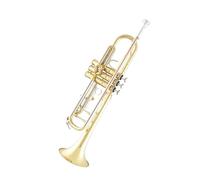 Tromba Principianti Tromba Sib Professionale Con Corpo In Ottone E Finitura Laccata Oro