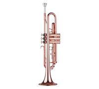 Tromba principianti Tromba Standard BB BB Con Cinghie Con Custodia Rigida Guanti Per Bocchino Panno Per La Pulizia Dei Principianti Degli Studenti Tromba Professionale (Color : 3/4)