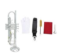 Tromba principianti Tromba Standard BB BB Con Cinghie Con Custodia Rigida Guanti Per Bocchino Panno Per La Pulizia Dei Principianti Degli Studenti Tromba Professionale (Color : 10)