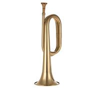 Tromba principianti Tromba Standard BB BB Con Cinghie Con Custodia Rigida Guanti Per Bocchino Panno Per La Pulizia Dei Principianti Degli Studenti Tromba Professionale (Color : 13)