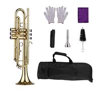 Tromba principianti Tromba Standard BB BB Con Cinghie Con Custodia Rigida Guanti Per Bocchino Panno Per La Pulizia Dei Principianti Degli Studenti Tromba Professionale (Color : 11)