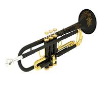 Tromba principianti Tromba Standard BB BB Trumpet È Adatta Per I Principianti Tromba Professionale