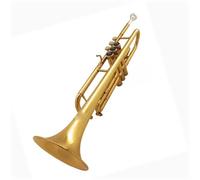Tromba Principianti Tromba Strumenti A Fiato Corpo Di Tamburi Insegnare Ai Principianti A Suonare Senza Sforzo