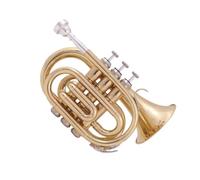 Tromba Principianti Tromba Tascabile Portatile In Chiave Di Si Bemolle Strumento In Ottone Portatile