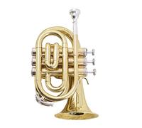 Tromba principianti Tromba Tromba Di Palm Per Principianti Che Suona La Classificazione Della Valutazione Mini Tromba Tromba Professionale