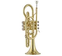Tromba principianti Trumpet Brass Brass Trombet Cornet È Adatto Per L'esame Del Grado/Prestazioni Professionali Tromba Professionale