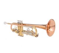 Tromba principianti Tubo Di Bronzo Fosforo Alto, Tromba Piatta B, Adatta Per I Principianti Nella Performance Della Banda Tromba Professionale