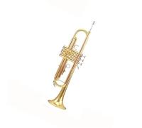 Tromba Principianti Uno Strumento A Tromba Per Principianti Che Suona Il Bocchino In Bronzo Fosforoso In Si Bemolle
