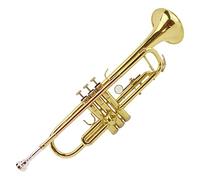 Tromba principianti Uno Strumento Tromba A Tre Colori In B È Piatto Per I Principianti Tromba Professionale