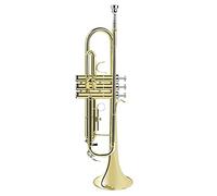 Tromba principianti Uno Strumento Tromba In B-flat Per L'esame Degli Strumenti Del Vento Tromba Professionale (Color : Gold)