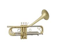 Tromba Professionale A Campana Curva, Tromba Di Qualità, Con Custodia E Bocchino