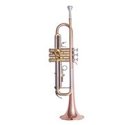 Tromba professionale Accessori completi per tromba piatta a tre note per tromba alta a tre colori di tipo performante per principianti