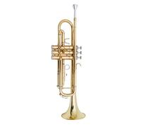 Tromba professionale Banda professionale per test di performance per principianti di tromba piatta strumentale a tre note
