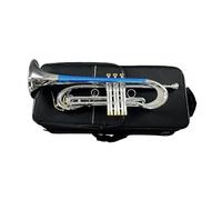 Tromba professionale BB Tone Strumento musicale Corpo in argento tromba strumento musicale