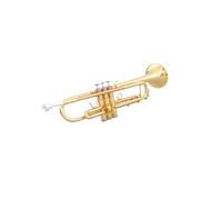 Tromba professionale Boccaglio in bronzo fosforoso strumento a fiato tromba entry-level scuola orchestra studio autonomo a casa per principianti