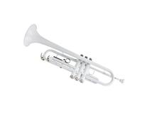 Tromba professionale Bocchino per tromba per tromba in sib piatto di grande diametro laccato bianco. Bocchino per tromba per strumento in ottone squisito