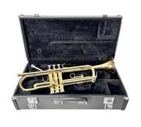 Tromba professionale Bocchino standard per tromba dorata con orchestra di scatole per principianti