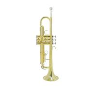 Tromba professionale Corno in Si bemolle con accessori squisito strumento in ottone tromba tromba con bocchino a scatola