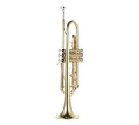 Tromba professionale Corno per principianti strumento in ottone piatto in Sib squisito e durevole placcato in oro