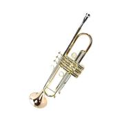 Tromba professionale Corno per principianti tromba in si bemolle strumento corno in bronzo fosforoso