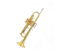 Tromba professionale Esame avanzato delle prestazioni di uno strumento a tromba Strumento a fiato Ottone