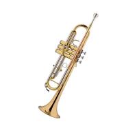 Tromba professionale Esame del grado del bocchino professionale per tromba in bronzo fosforoso per tromba in Si bemolle