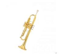 Tromba professionale Esame delle prestazioni dello strumento a tromba strumento a fiato in ottone verniciato oro