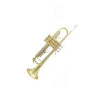 Tromba professionale Esame dell'esecuzione dello strumento a tromba strumento a fiato bronzo fosforoso laccato oro