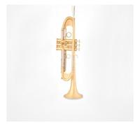 Tromba professionale Esame professionale delle prestazioni della banda di strumenti per tromba in Si bemolle spazzolato oro per tromba pesante