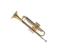 Tromba professionale Esecuzione di tromba a tre colori tromba piatta a tre note accessori completi per principianti
