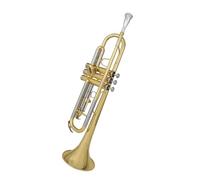Tromba professionale Esercizi di livello base per gli studenti della banda strumentale in si bemolle per tromba per l'esame di grado
