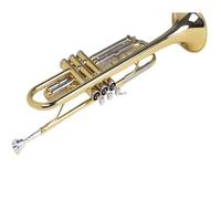 Tromba professionale Fascia professionale per esame scolastico per studenti adulti originale + accessori per libri di testo completi