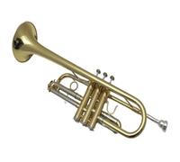 Tromba professionale I principianti della Brass School suonano professionalmente la tromba in tonalità Do
