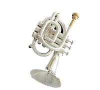 Tromba Professionale In Do Mini Con Valvole In Monel Placcate Argento E 2 Bocchini Tromba