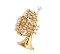 Tromba Professionale In Ottone BB Mini Tromba