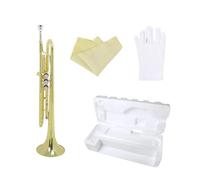 Tromba Professionale In Sib Si In Ottone, Materiale Musicale, Tromba, Strumento A Fiato Con Accessori Per Custodia Per Bocchino (Color : Gold)