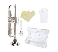 Tromba Professionale In Sib Si In Ottone, Materiale Musicale, Tromba, Strumento A Fiato Con Accessori Per Custodia Per Bocchino (Color : Silver)