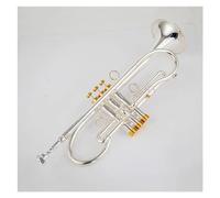 Tromba Professionale In Sib Tune In Ottone Placcato Oro Argento Con Custodia Ha Un Corpo In Ottone Resistente(Color:Silver)