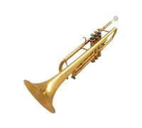 Tromba professionale Lo strumento a tromba lo strumento in ottone il tamburo e il corpo delle trombe insegna ai principianti come suonare con meno sforzo