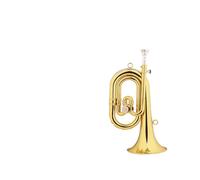 Tromba professionale Materiale in ottone tromba strumento corno passo divisione B piatto banda militare carica corno soffiatore