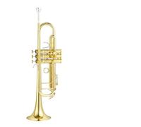 Tromba professionale Medaglia d'oro per l'esame delle prestazioni professionali dello strumento a tromba in Si bemolle