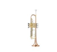 Tromba professionale Modello in bronzo fosforoso per principianti in si bemolle per esame delle prestazioni professionali